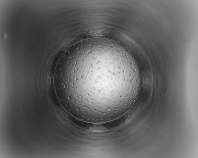 X0000089660603200707051531