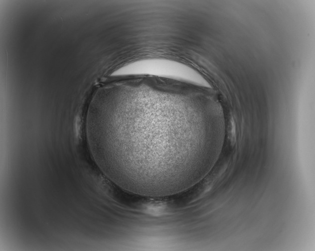 X0000089660604200707051531