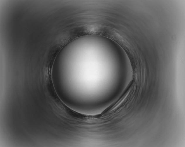 X0000089660605200707051531