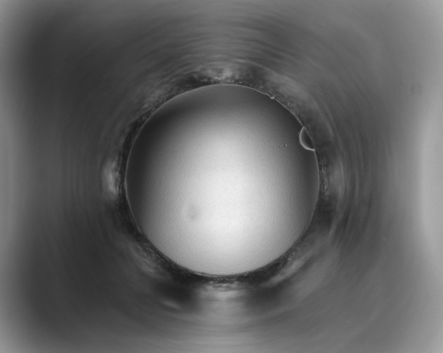 X0000089660606200707051531