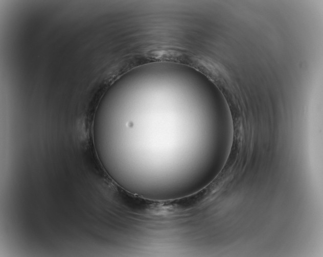 X0000089660607200707051531