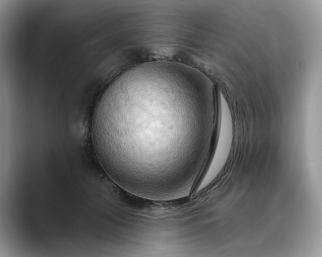 X0000089660608200707051531