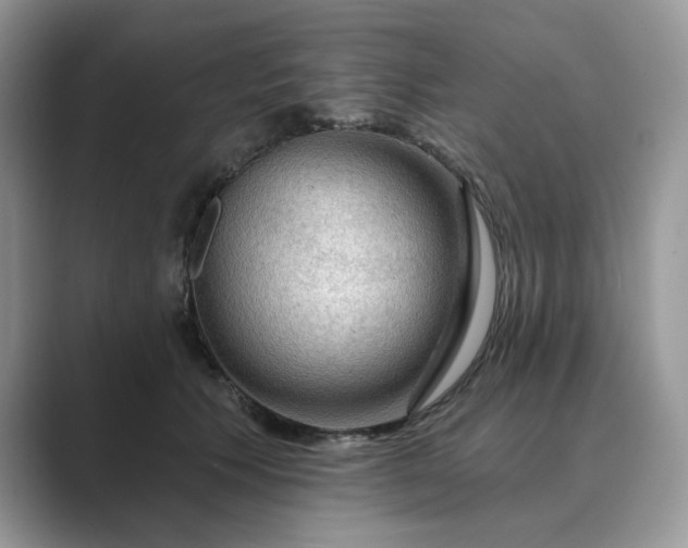 X0000089660609200707051531