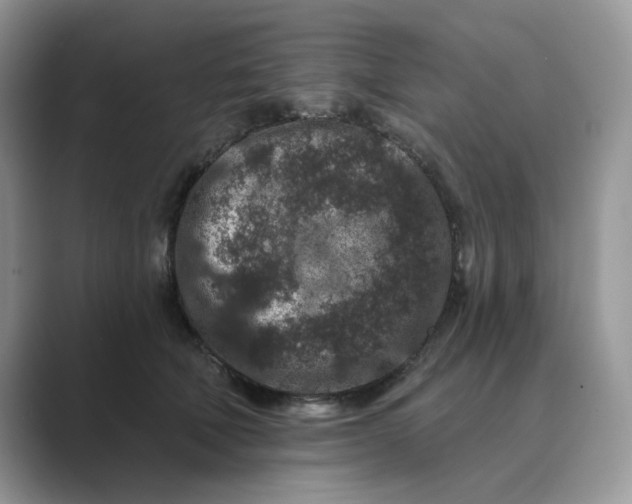 X0000089660610200707051531