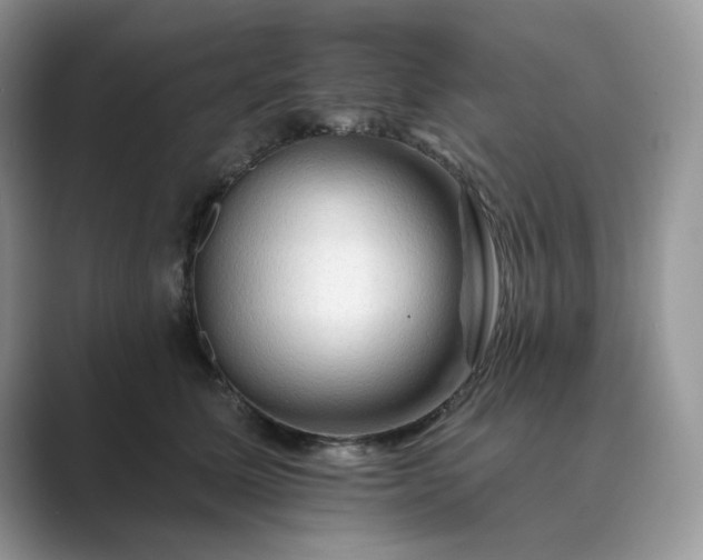 X0000089660611200707051531