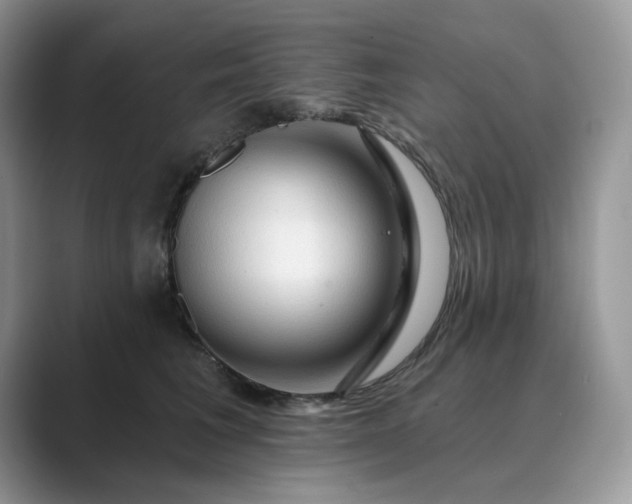 X0000089660613200707051531