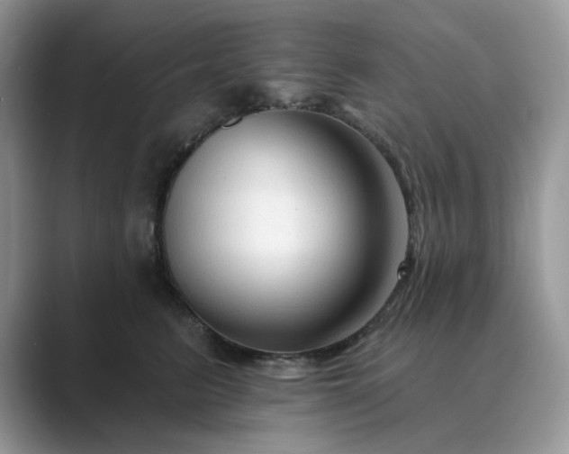 X0000089660615200707051531