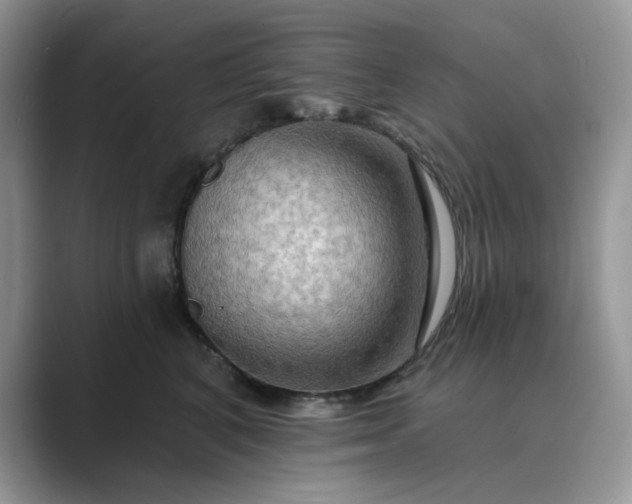 X0000089660616200707051531