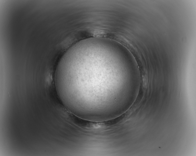 X0000089660618200707051531