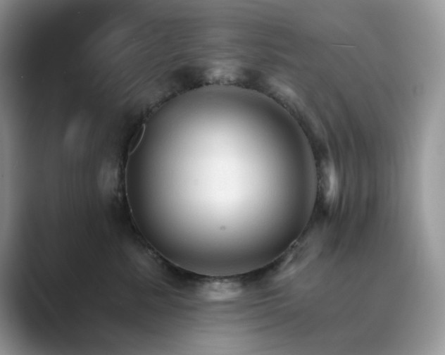 X0000089660619200707051531