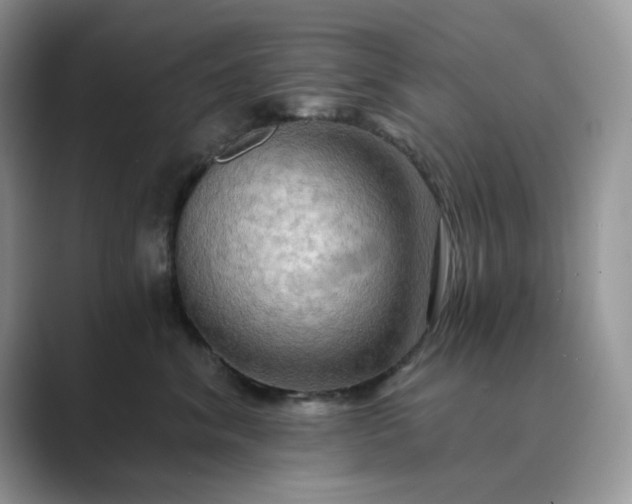 X0000089660620200707051531