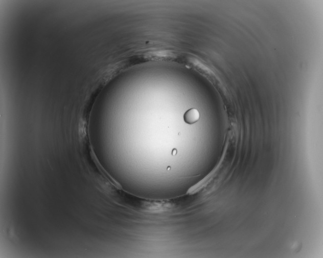 X0000089660621200707051531