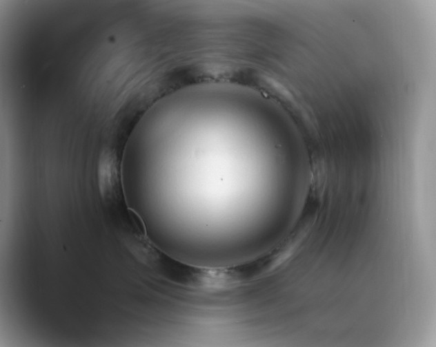 X0000089660623200707051531