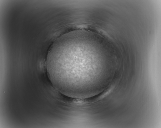 X0000089660624200707051531