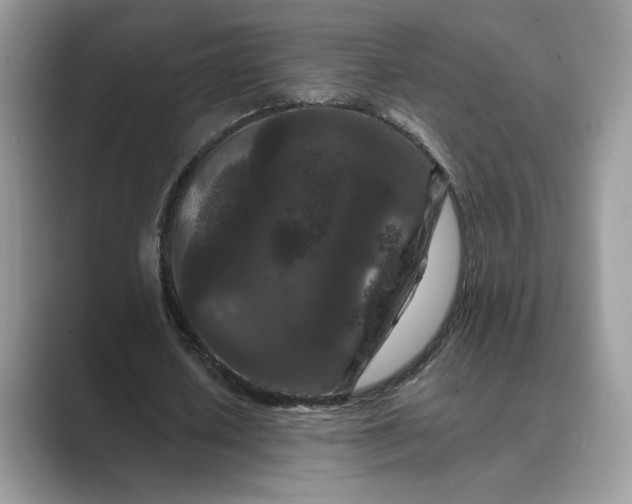 X0000089660626200707051530