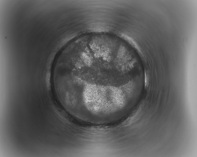 X0000089660627200707051530