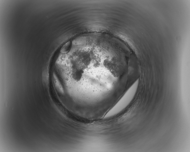 X0000089660630200707051530