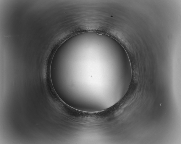 X0000089660631200707051530