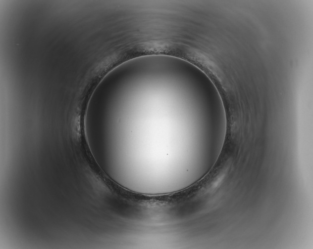 X0000089660633200707051530