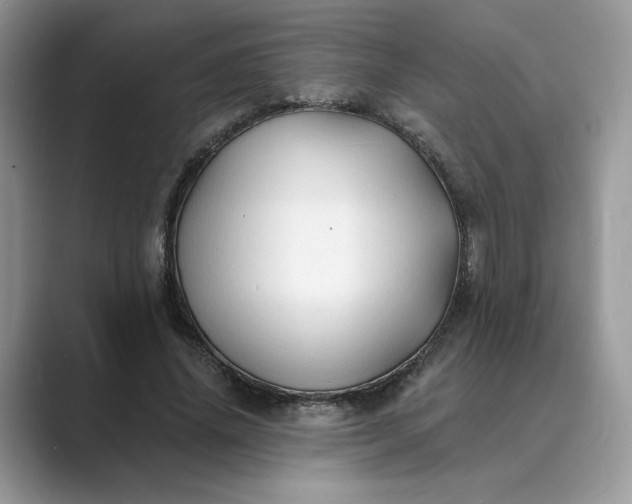 X0000089660636200707051530