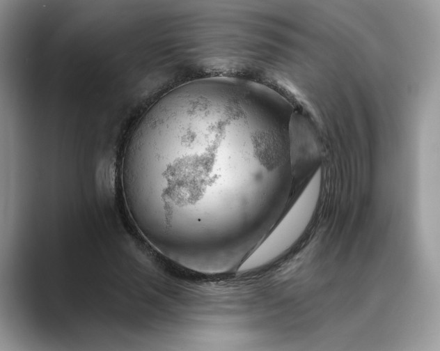 X0000089660637200707051530