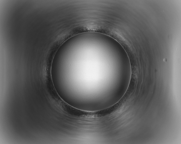 X0000089660639200707051530