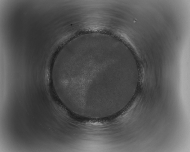 X0000089660640200707051530