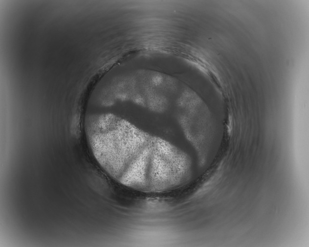 X0000089660641200707051530