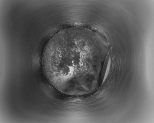 X0000089660643200707051530