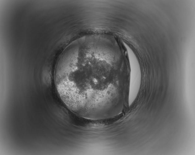 X0000089660644200707051530