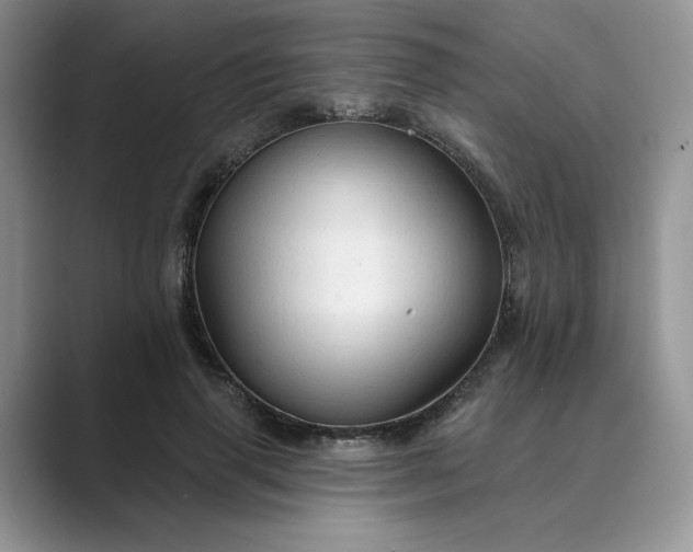 X0000089660645200707051530