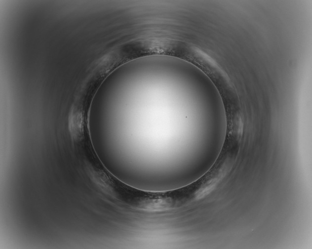 X0000089660646200707051530