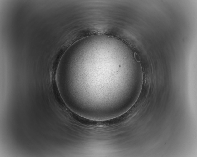 X0000089660647200707051530