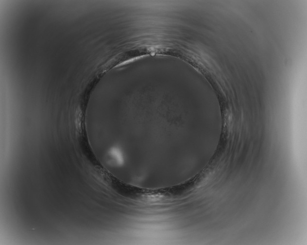 X0000089660650200707051530