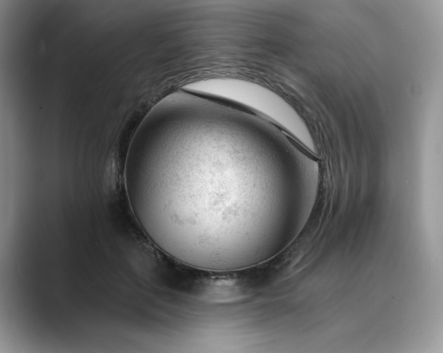 X0000089660651200707051530