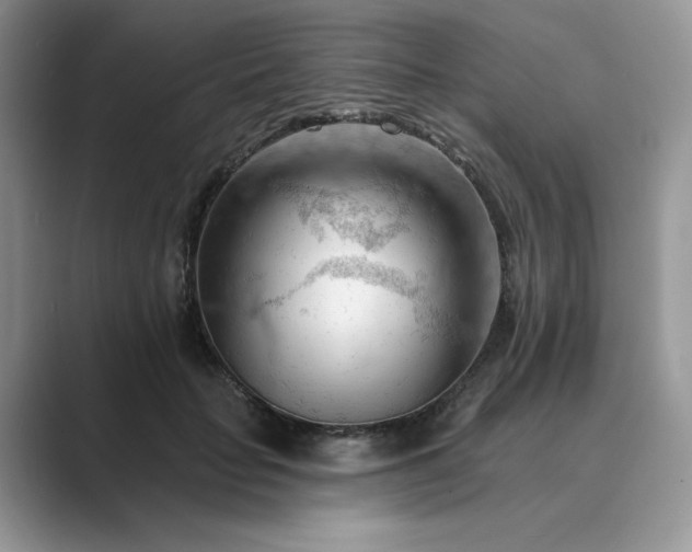 X0000089660653200707051530