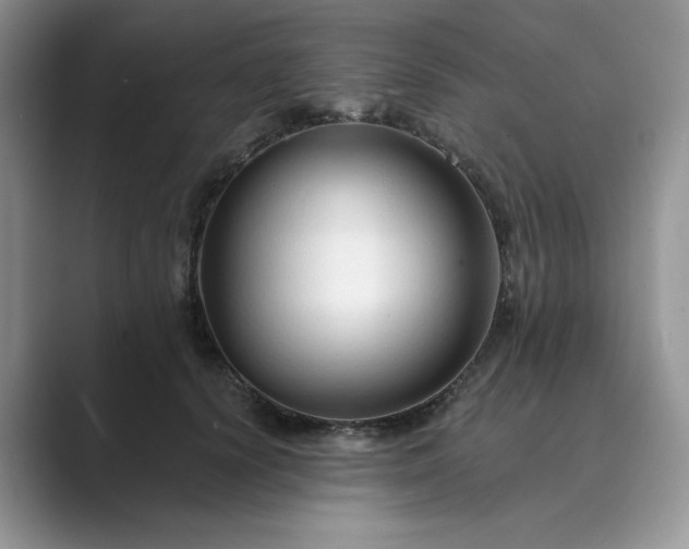 X0000089660656200707051531