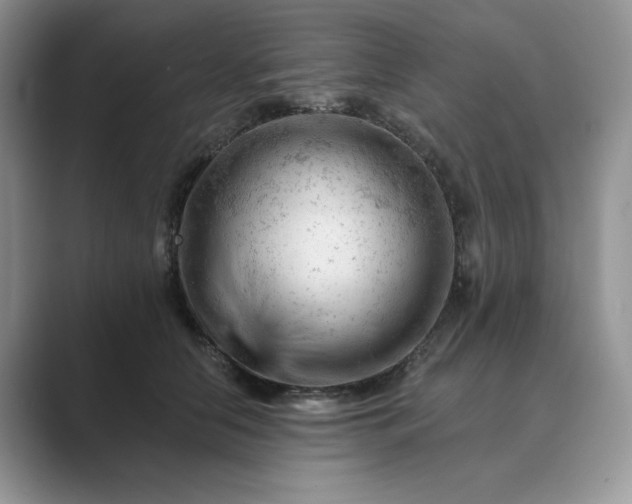 X0000089660658200707051531