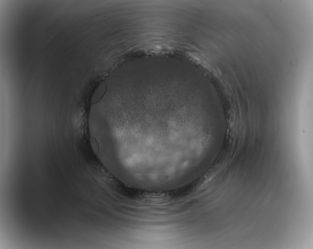 X0000089660659200707051531