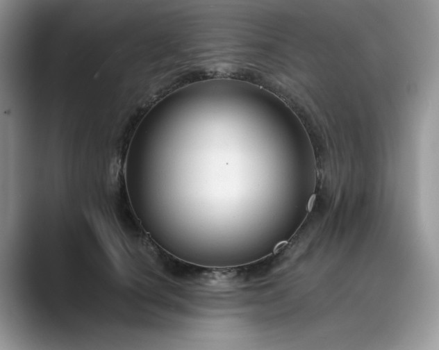 X0000089660660200707051531