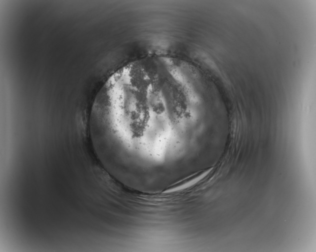 X0000089660661200707051531