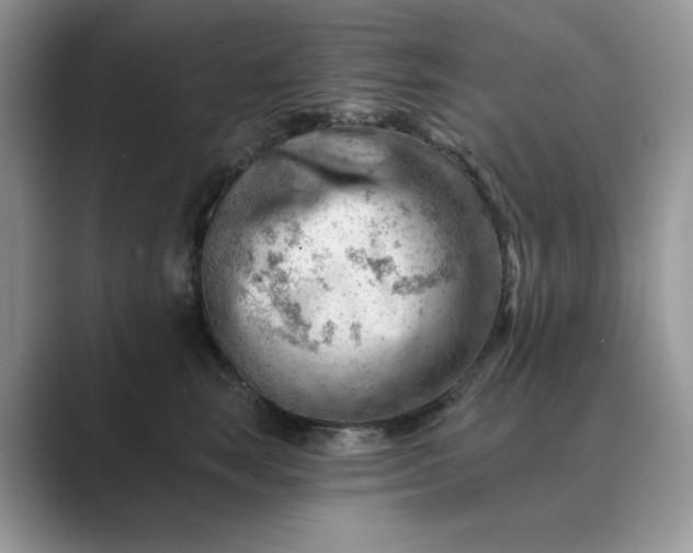 X0000089660663200707051531