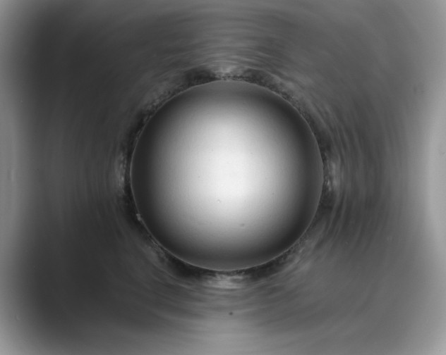 X0000089660664200707051531