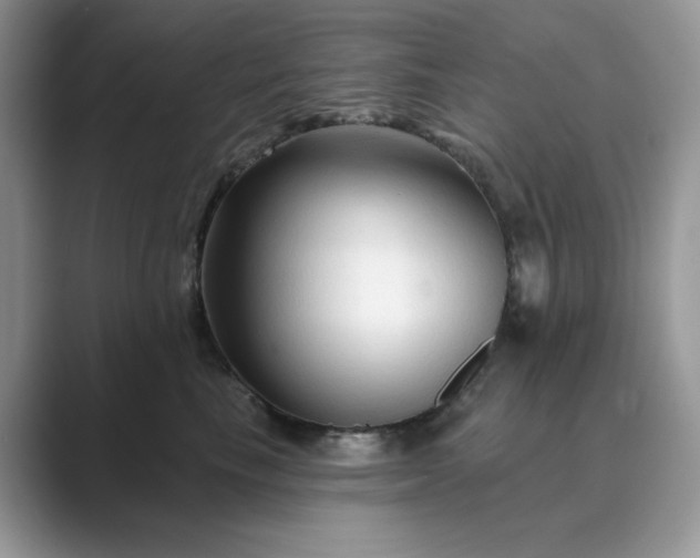 X0000089660665200707051531