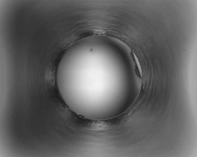 X0000089660666200707051531