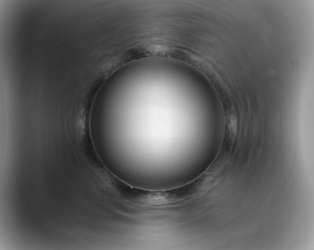 X0000089660668200707051531