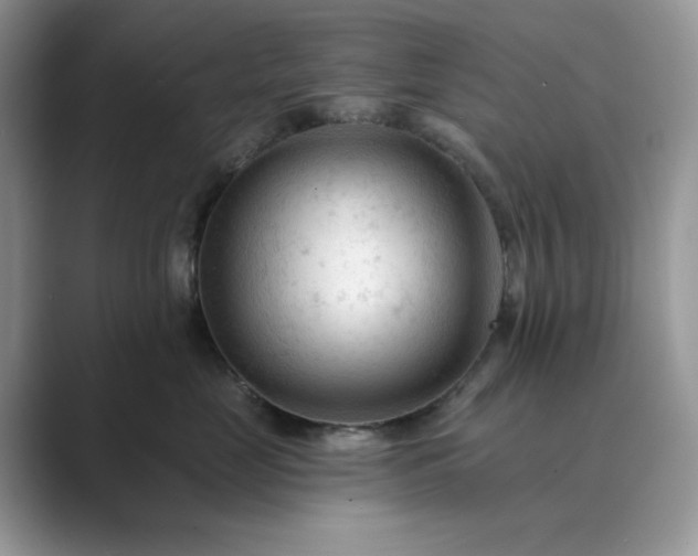 X0000089660669200707051531