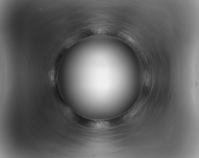 X0000089660670200707051531