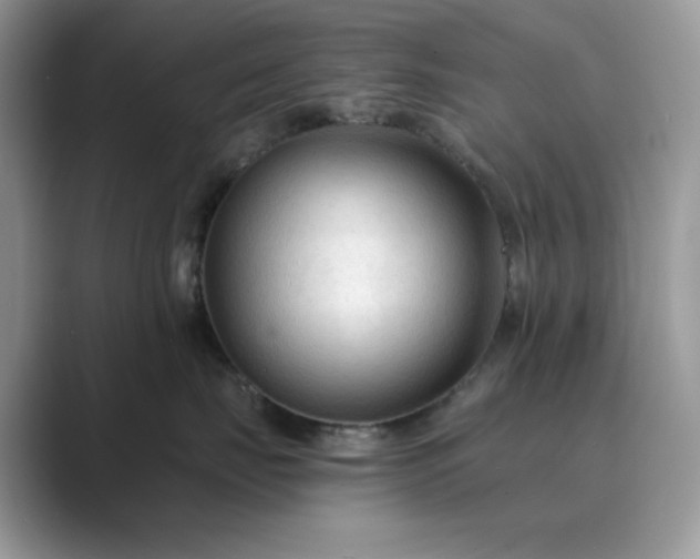 X0000089660671200707051531