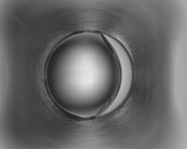 X0000089660673200707051530